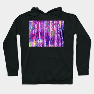 Elm Tree Bark, Digitally Enhanced Photo Hoodie